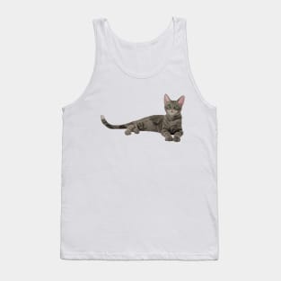 Cute Gray Tabby Kitten Tank Top